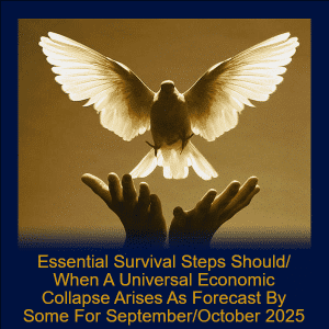 Module 89 - Essential Survival Steps Should/When A Universal Economic Collapse Arises As Forecast By Some For September/October 2025