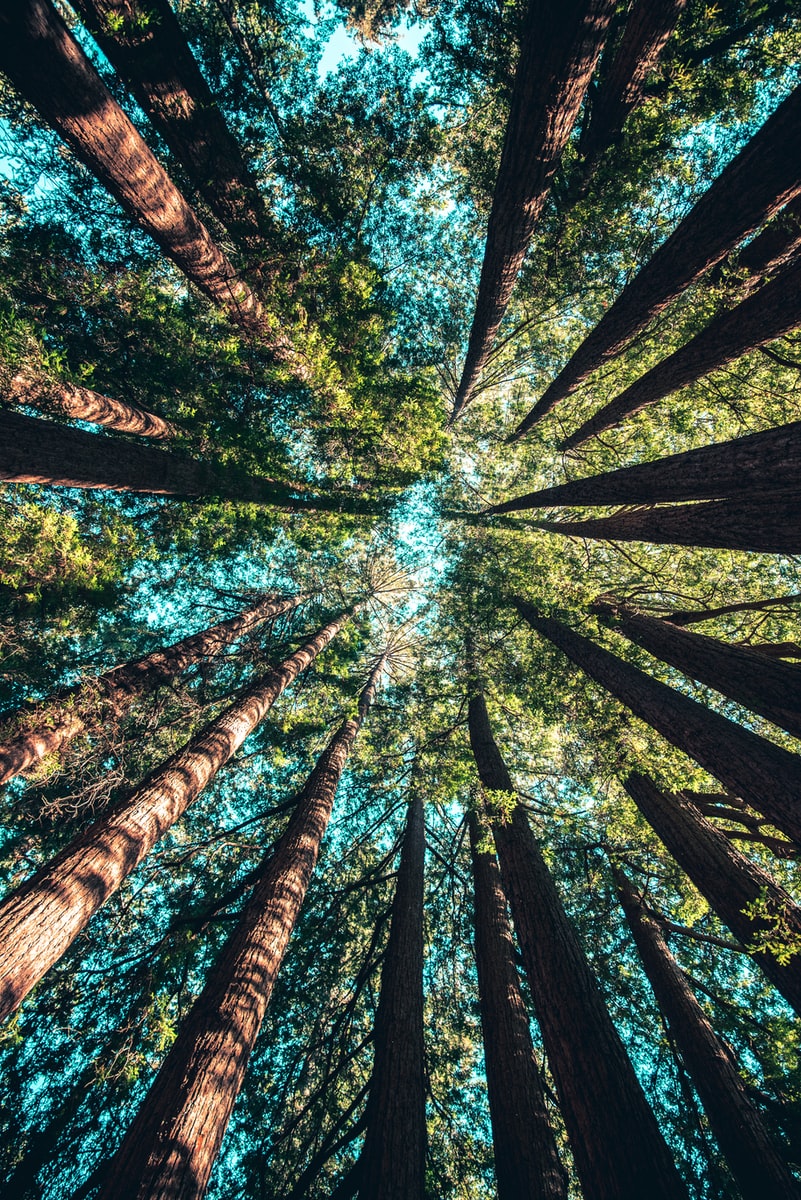Creative Solutions for a New Earth & Mankind
