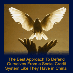 Module 85 - The Best Approach To Defend Ourselves From a Social Credit system Like They Have in China