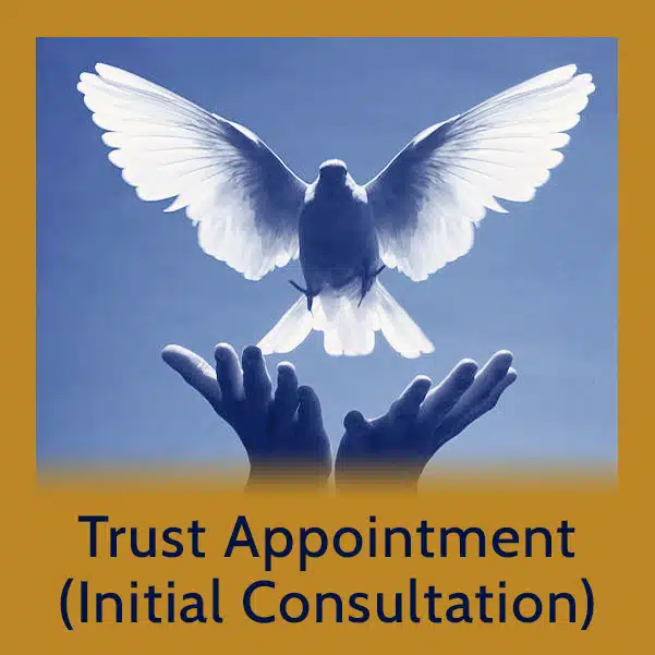 Trust Appointment (Initial Consultation)