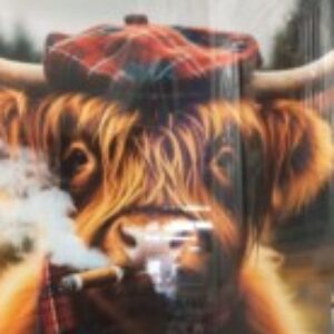 Profile photo of jaip67