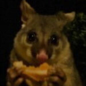 Profile photo of Gra