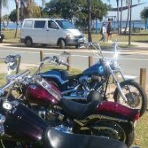 Profile photo of Gra