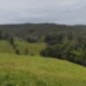 Profile photo of honestum