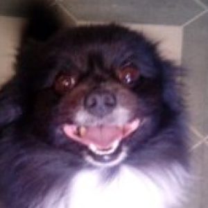 Profile photo of michael-kunowski